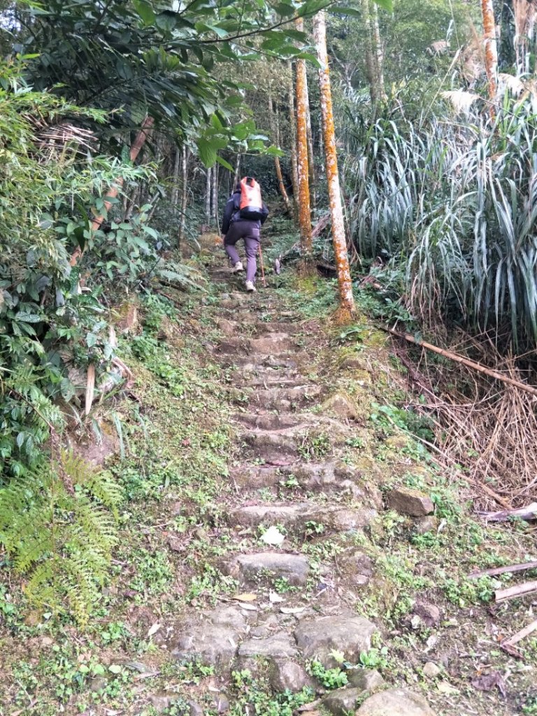 雲嘉七連峰_1560687