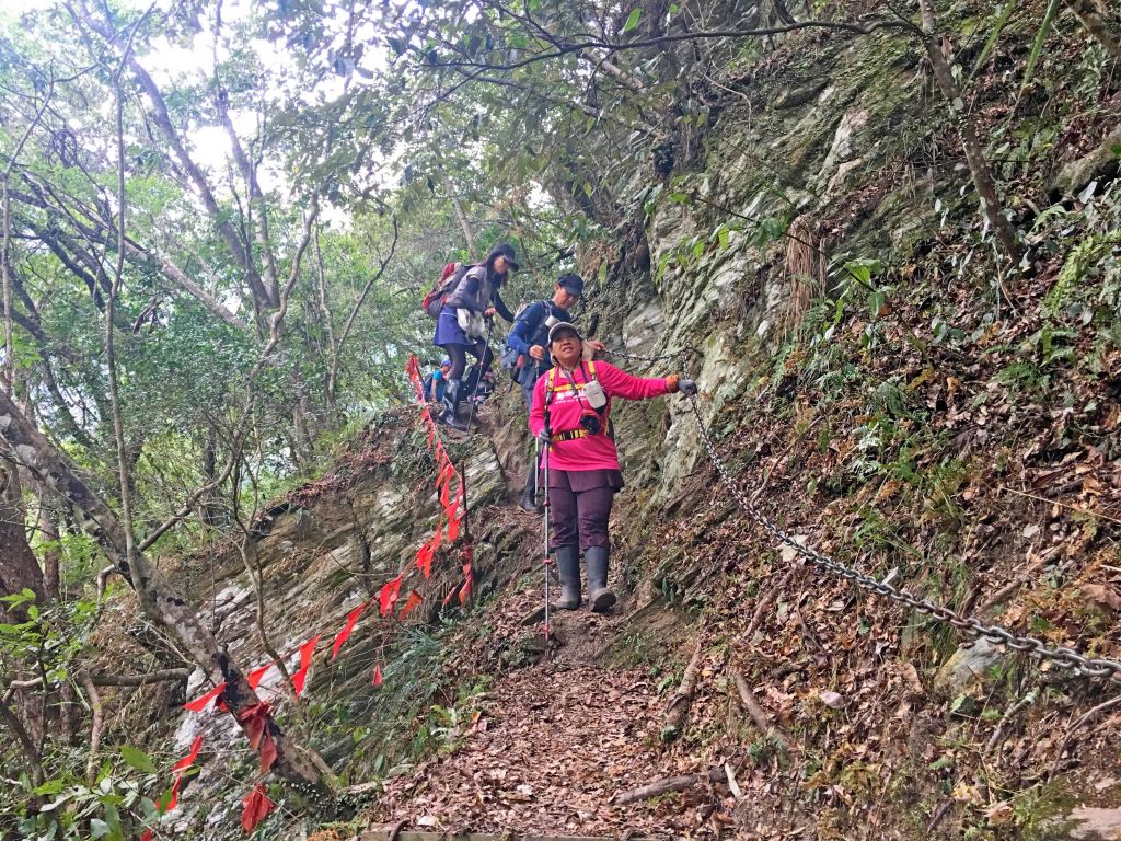 登碧綠神木旁焦土山及加碼綠水文山步道  _375984