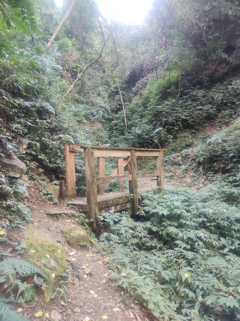 惠蓀湯公啤&小嵐_2697823