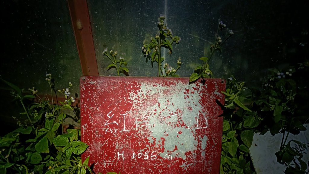 雲嘉18連峰(18銅人)誰與爭鋒 2021年10月11日 爬帶行不行_1485366