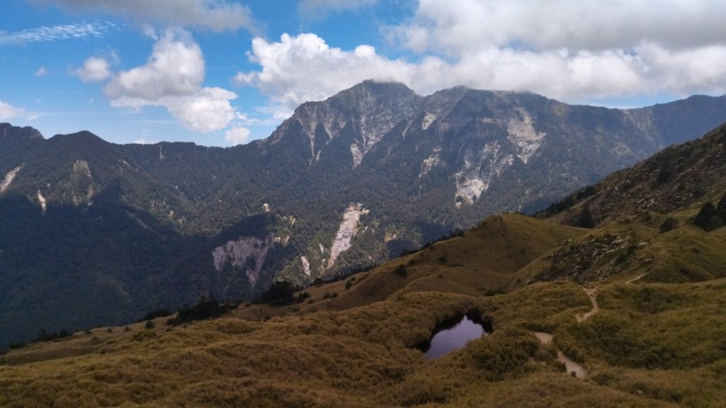 奇萊主北剛好抓到高山杜鵑的末段及紅毛杜鵑的初綻_1380285