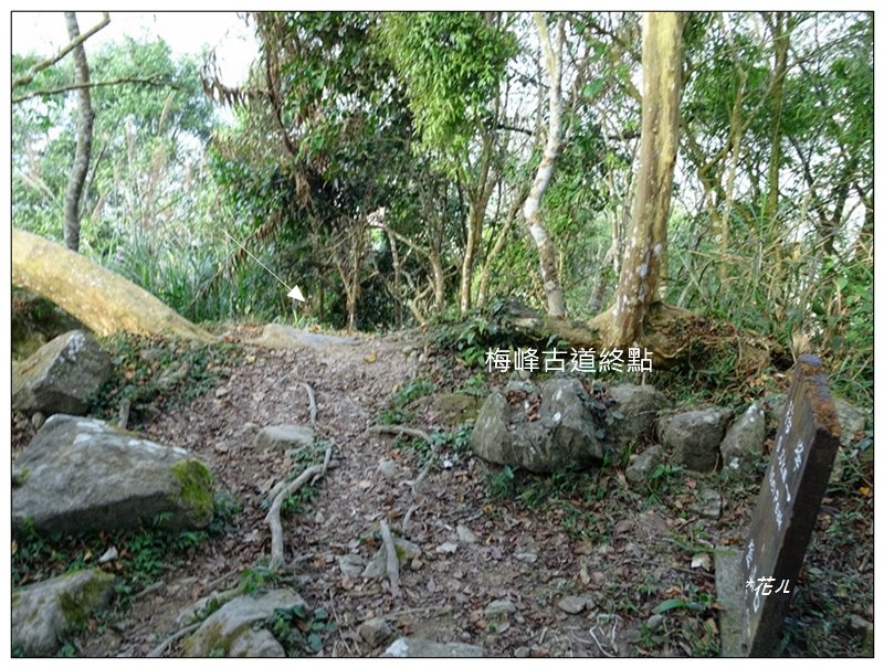 竹子尖山(小百岳)稜線步道O形一圈_2355494