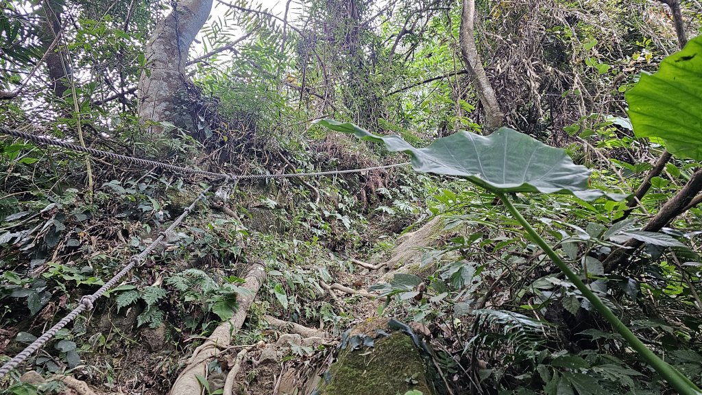 暗影山三進三出_2366567