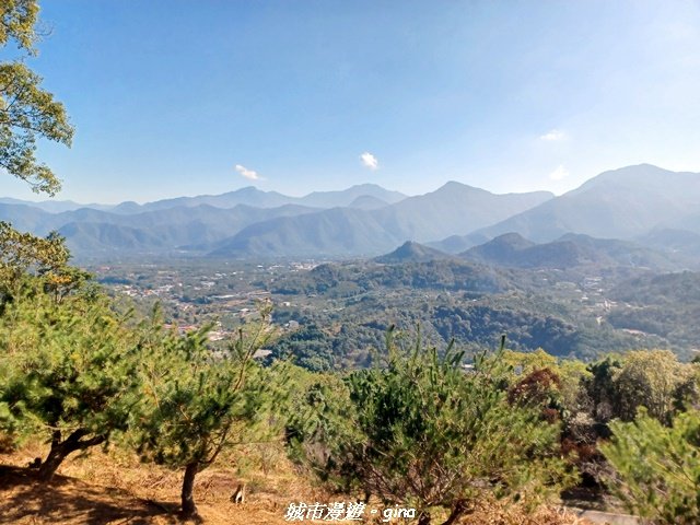 【南投魚池】郊山好視野。 金龍山(槌仔寮山)步道_2976299