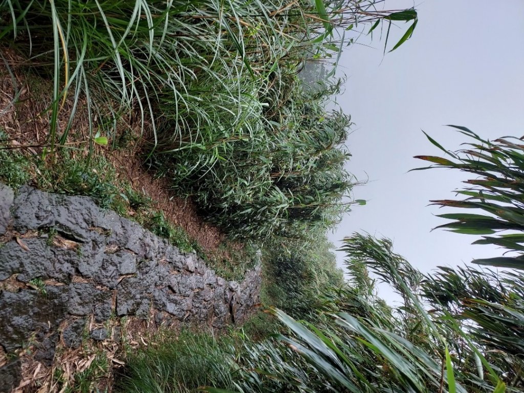 小油坑～七星山～冷水坑～擎天崗_1940721