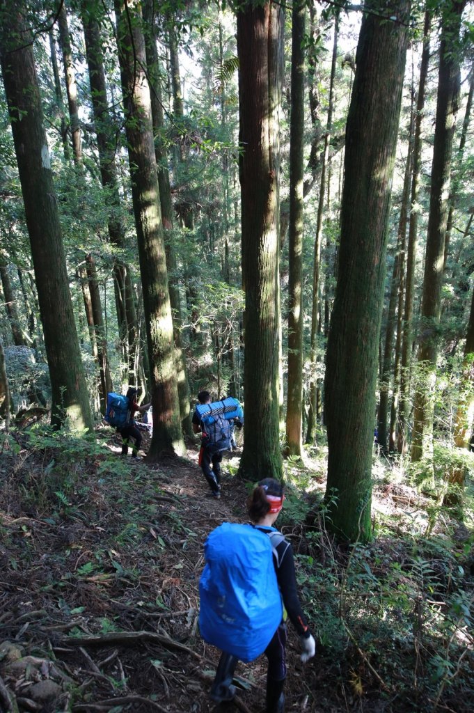 水樣森林 第一次在山裡過夜_658880