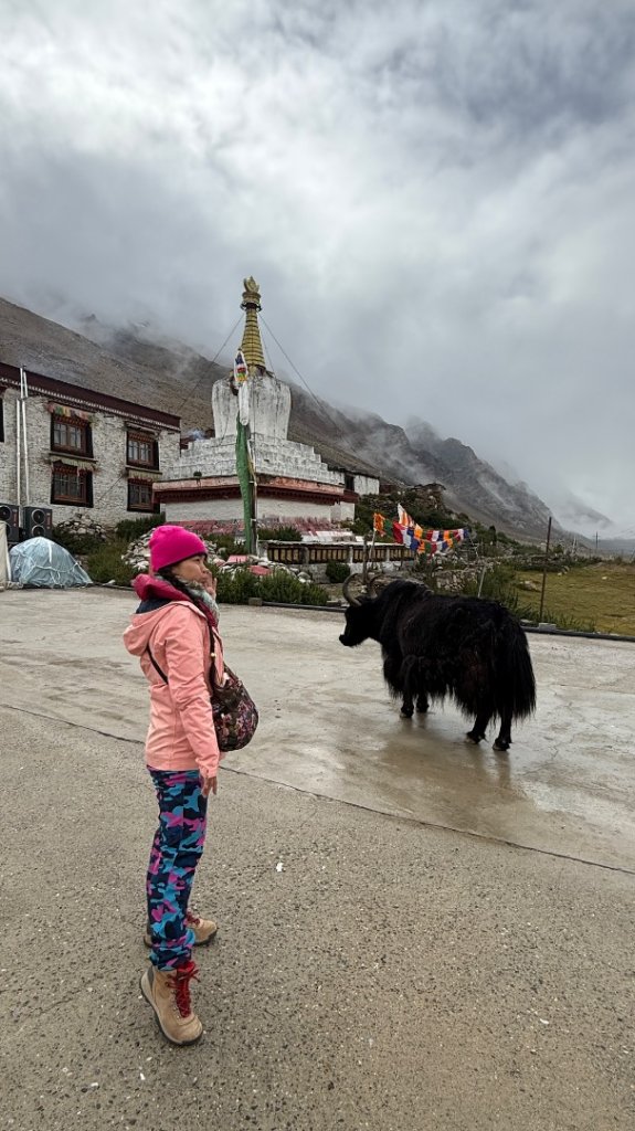 西藏♥️可愛動物🐎人物寫真/拉薩旅拍/美食_2902923