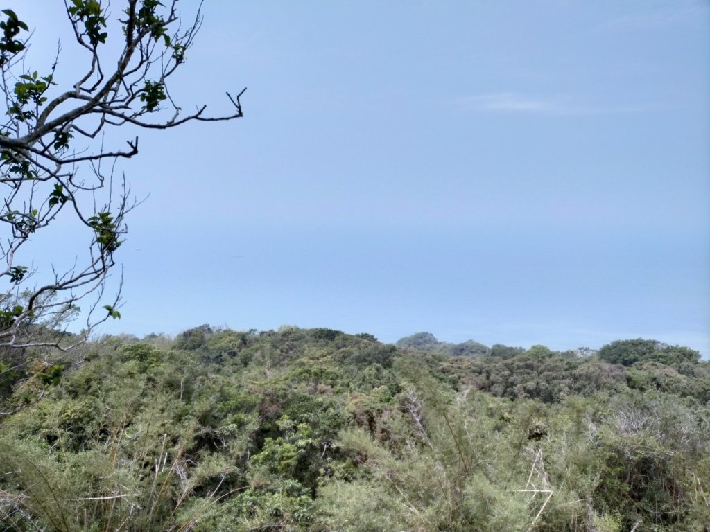 北柴山秘境之旅_2754371