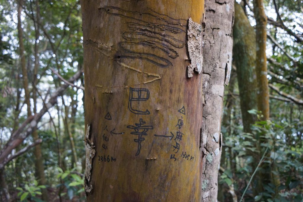 松鶴線八唐O縱_306551