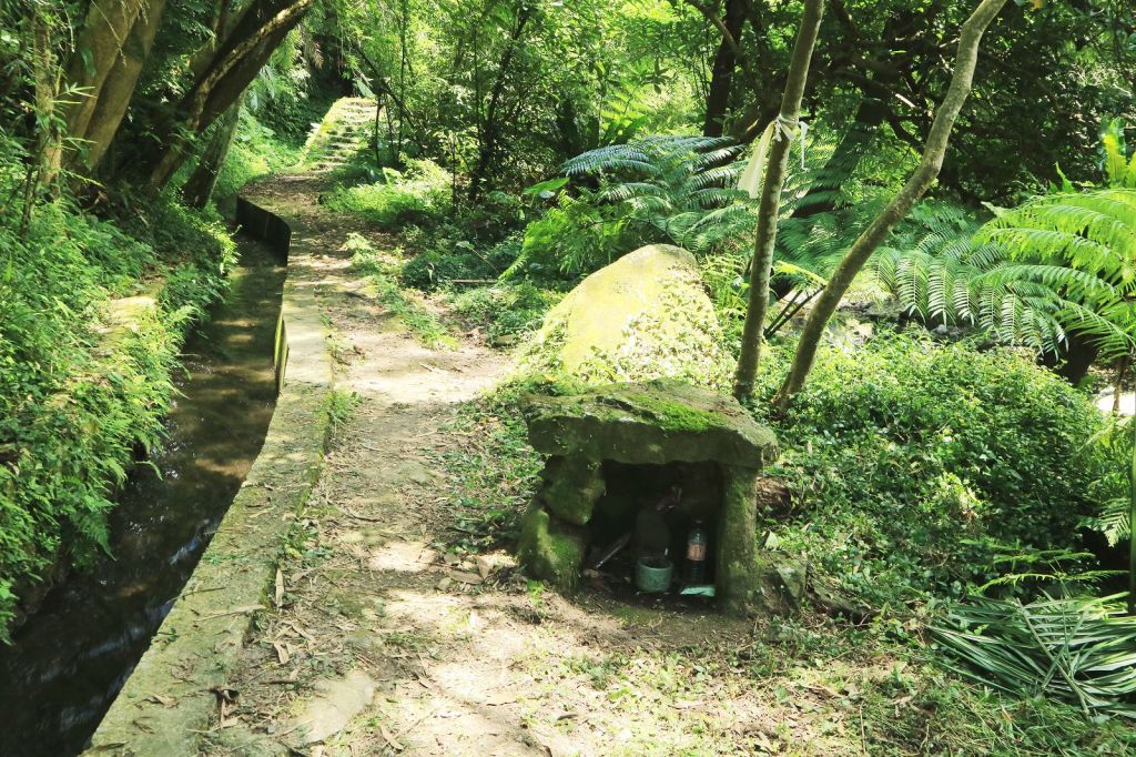 夏日消暑步道~狗殷勤古道菁華版_142137