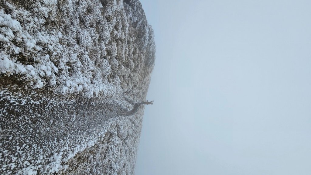 112.3.13～3.14 冰封奇萊主北_2074115