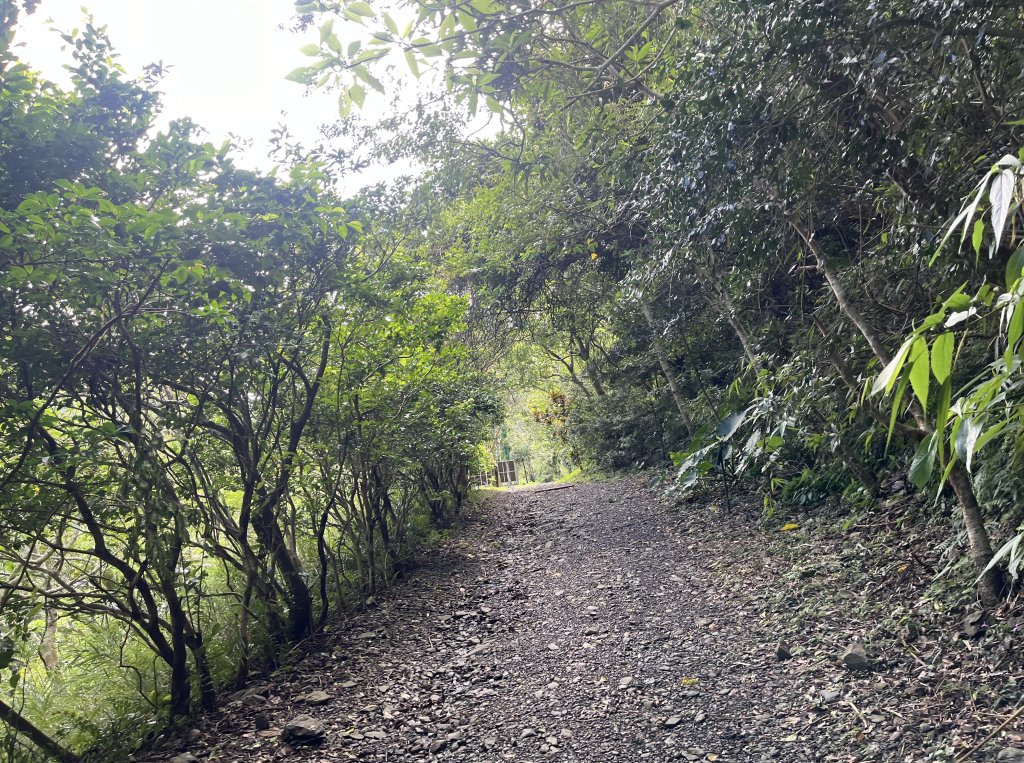 [屏步青雲 尋寶任務-03/10] 2024_0917 雙流國家森林遊樂區（瀑布步道）_2597727