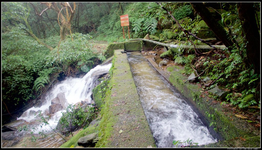 魚路古道-大油坑山-挑硫古道_378855