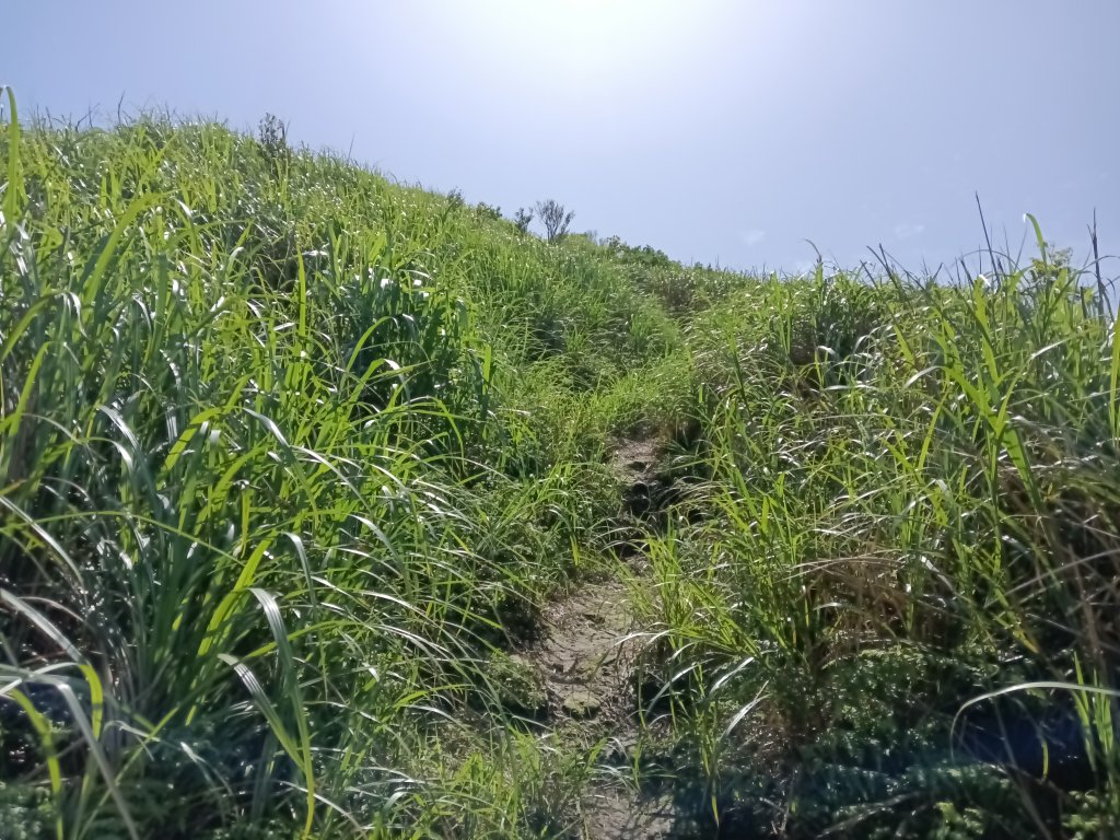 雙溪區不厭亭+牡丹山+樹梅坪+鷹石岩山神廟+不厭亭+奉憲示禁碑+三貂崙+不厭亭8字走_2766217