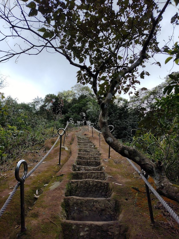 2022 3/9 孝子山登山步道_1636987