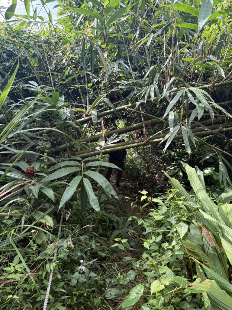 烏山縱走北段 雲山寺至刣牛湖山(途經風空子山.孟璋山.烏山.刣牛湖山北峰)_2928796