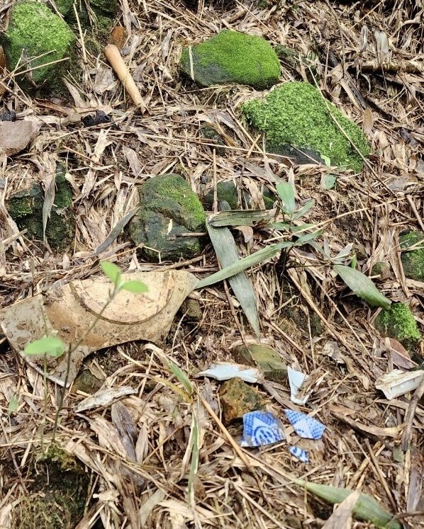 蛇來運轉-蛇子行古道-三爪坑山-蛇子崙山O_2706729