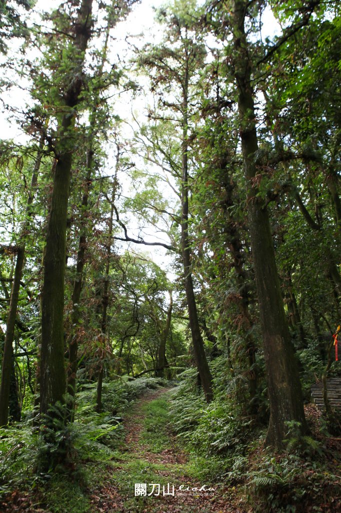 出關古道 - 關刀山_1057545