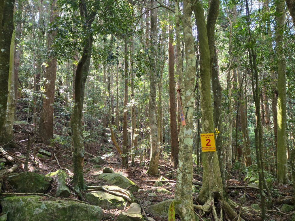 哈堪尼山_2761944