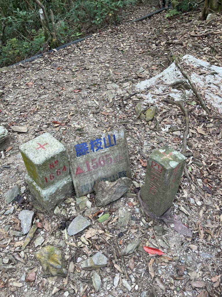 藤枝山&鳴海山封面圖