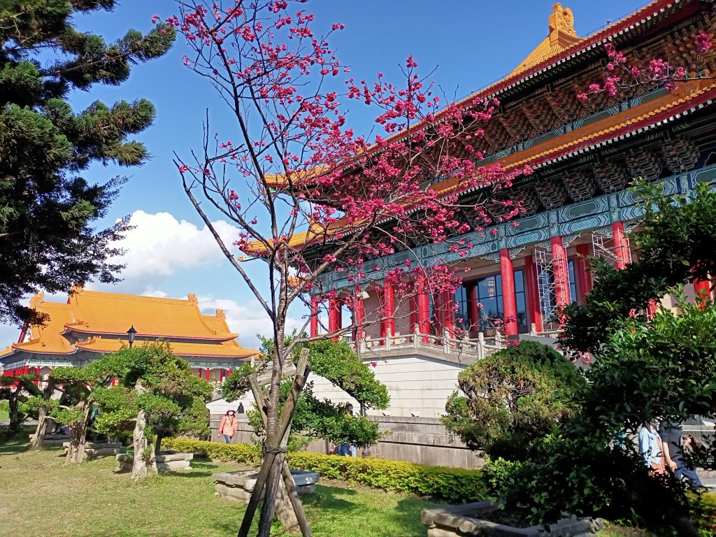 自由廣場、國家戲劇院、國家音樂廳、中正紀念堂賞櫻及尋寶趣【齊心鞋力尋寶去】_2038814