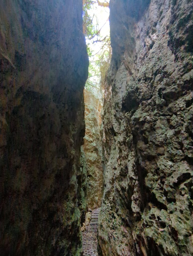 2024.06.09－墾丁國家公園_2523823