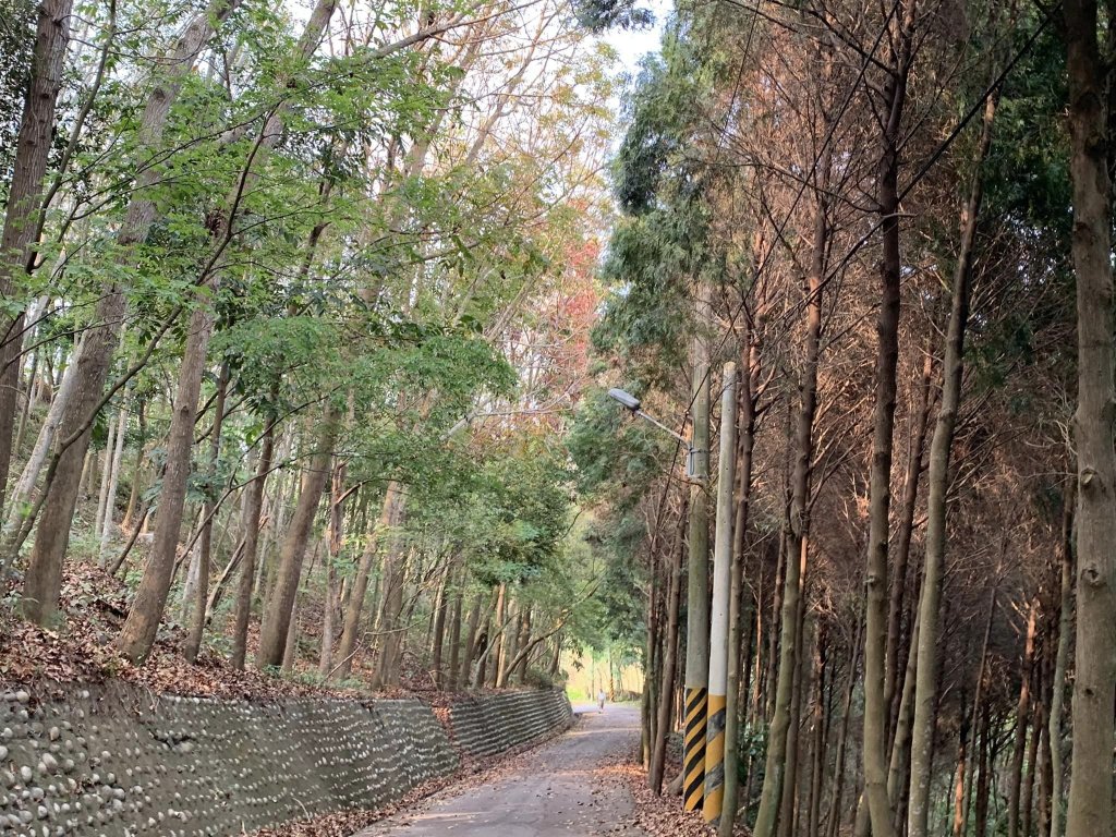 台中潭子區大胡山與聚興山隨意走（小百岳）_2116700