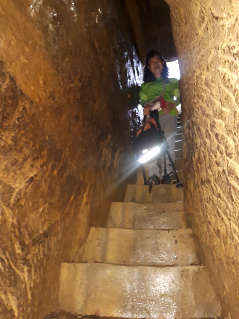 外南勢角山(國旗嶺)-圓通寺環山步道_1700500