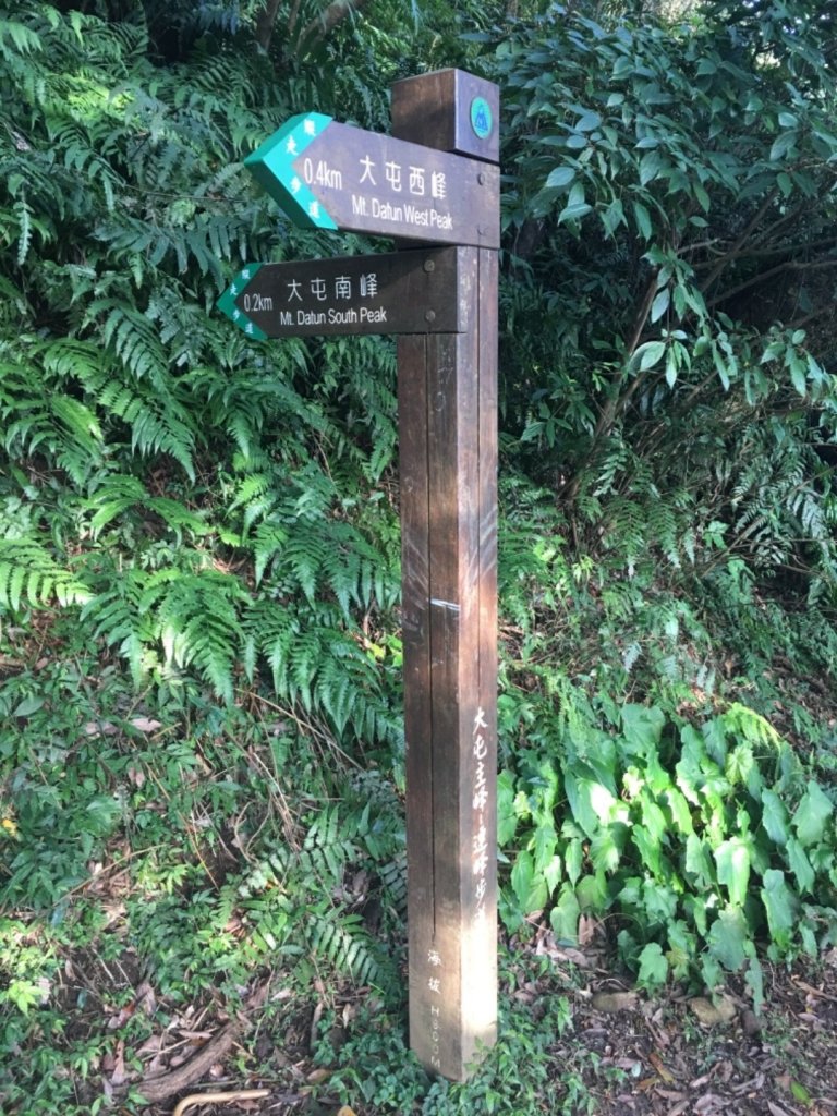 20200202_大屯山群峰_821891