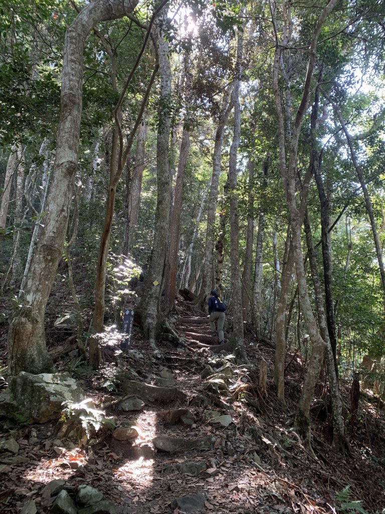 20251018台中八仙山_2921436