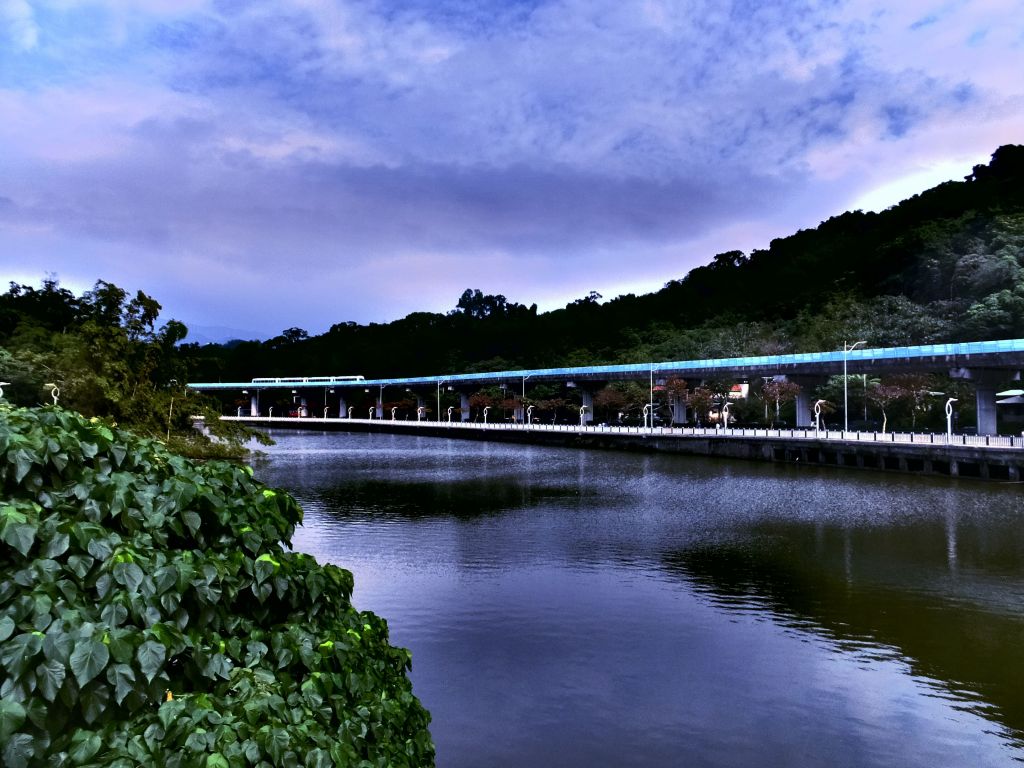 白鷺鷥山與大湖公園落羽松步道_235798