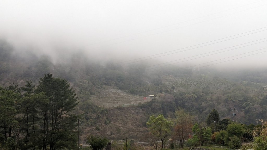 八仙山主峰步道 (松鶴線)_2042877