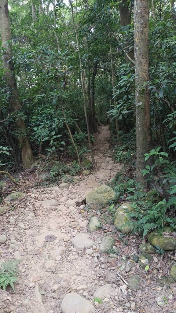 20251018 三義火炎山 南鞍古道 O型_2920619