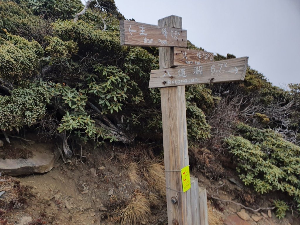 玉山八通關之最_1318433