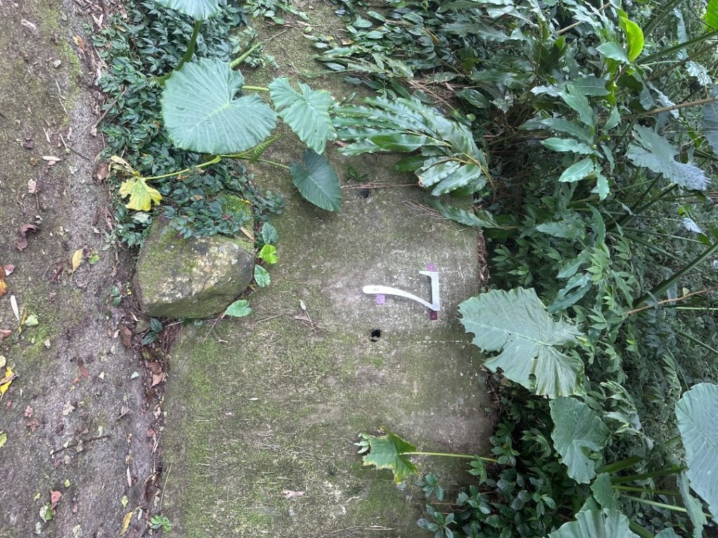 嘉雲二尖山、大尖山_2734866