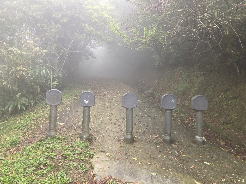 獅仔頭山登山步道_2437105