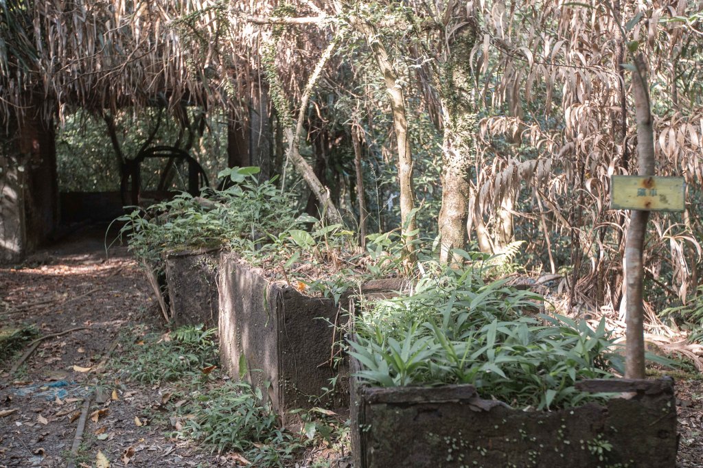 周朝南館長兒時上學路｜烏塗窟古道＆一通坑巡禮_2554349