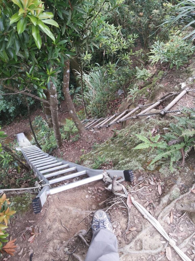 五寮尖20150501_1961202