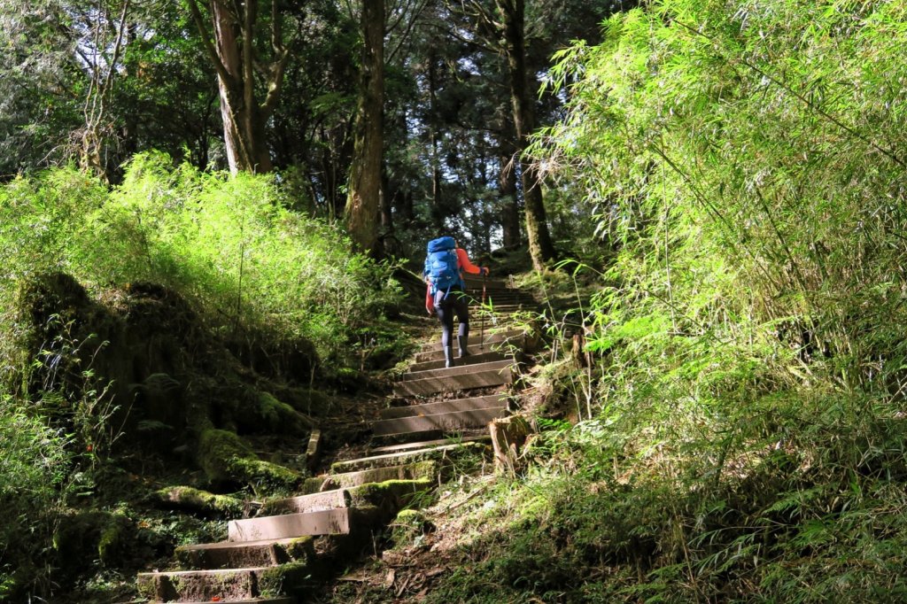 大塔山～楓之美_979457