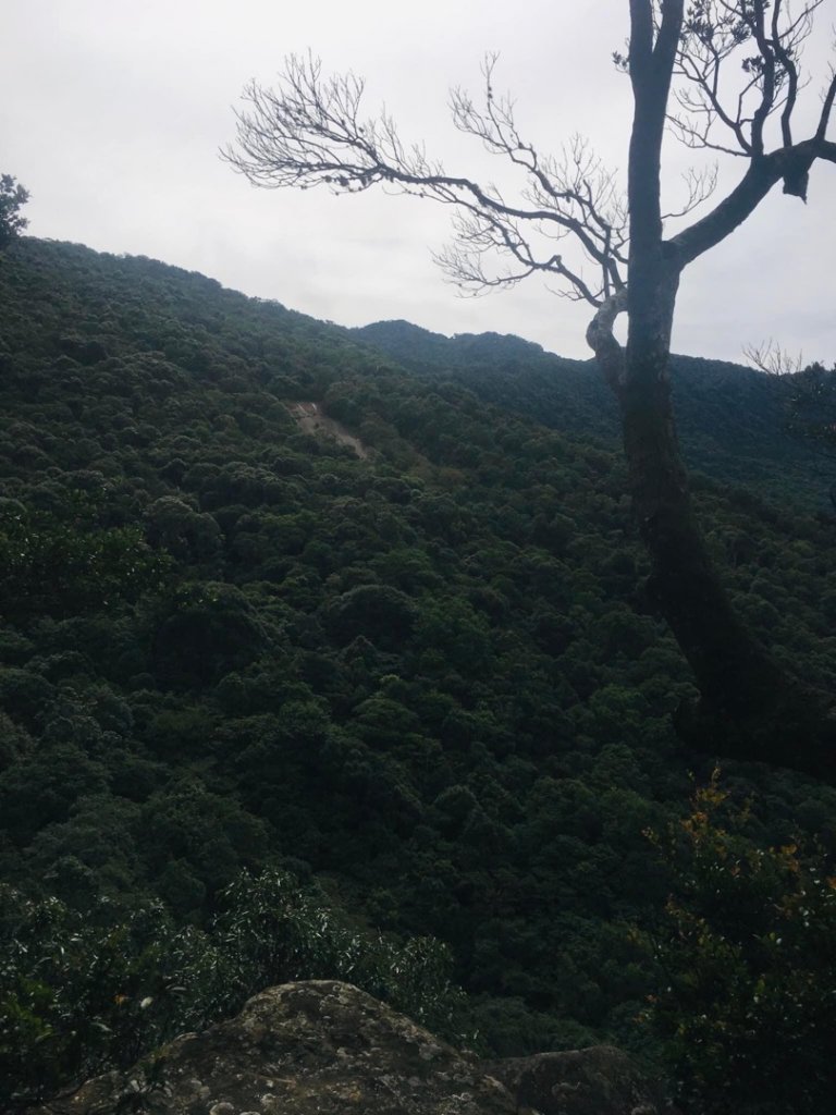 無名山、大坪山、加里山8字走、雲海看到飽_1924768