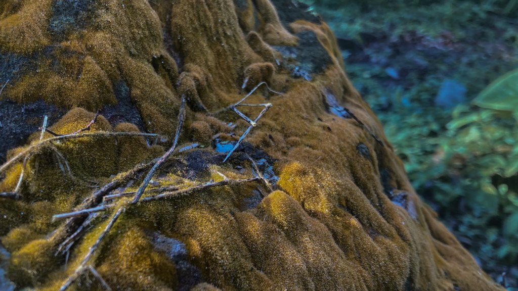 灣潭古道 & 北勢溪古道連走(淡蘭古道中路)_2030121