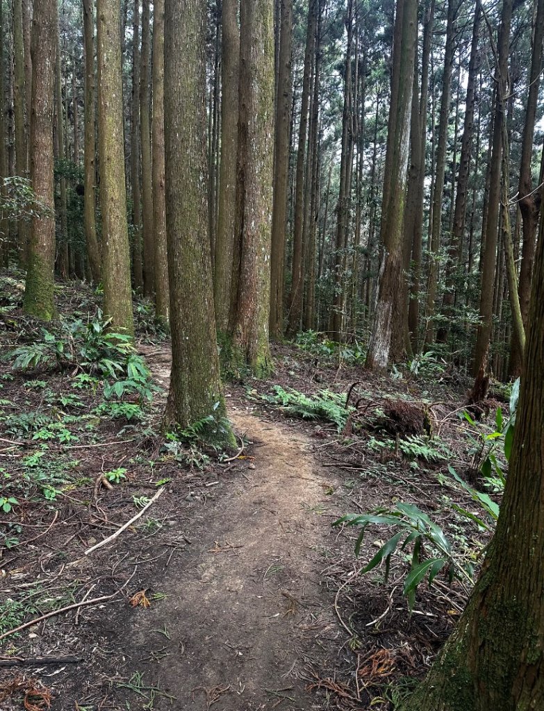 苗栗小百岳_2857976