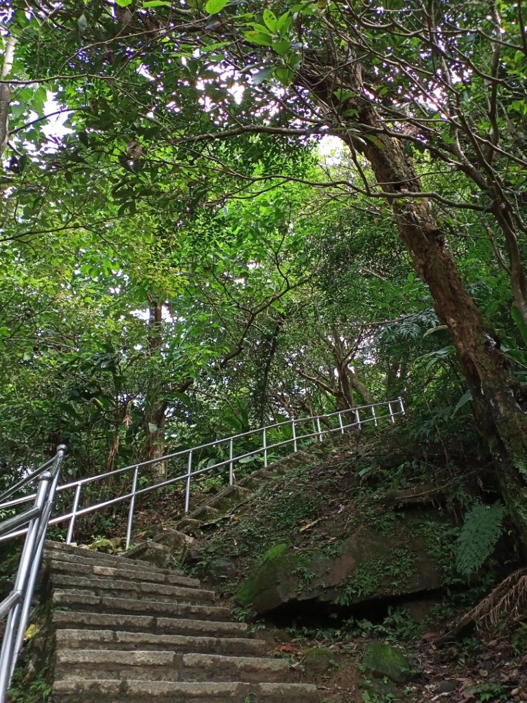 【山系野遊】汐止大尖山-茄苳古道秀峰瀑布_1118984