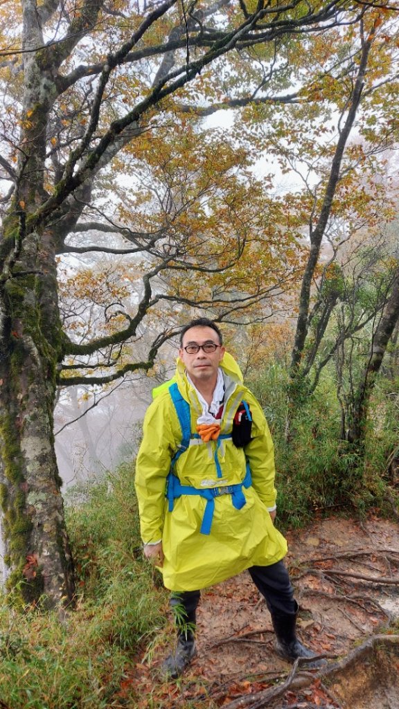 太平山山毛櫸步道202111 13_1617938