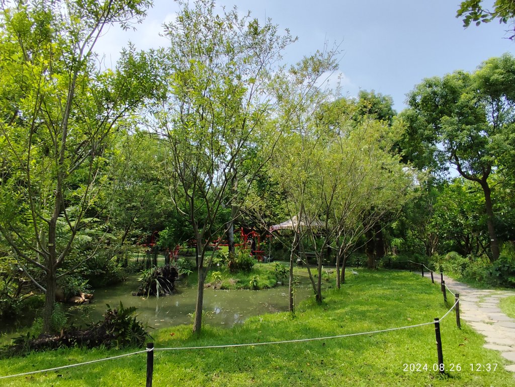 大安森林公園、大港墘公園【走路趣尋寶】【臺北健走趣】封面圖