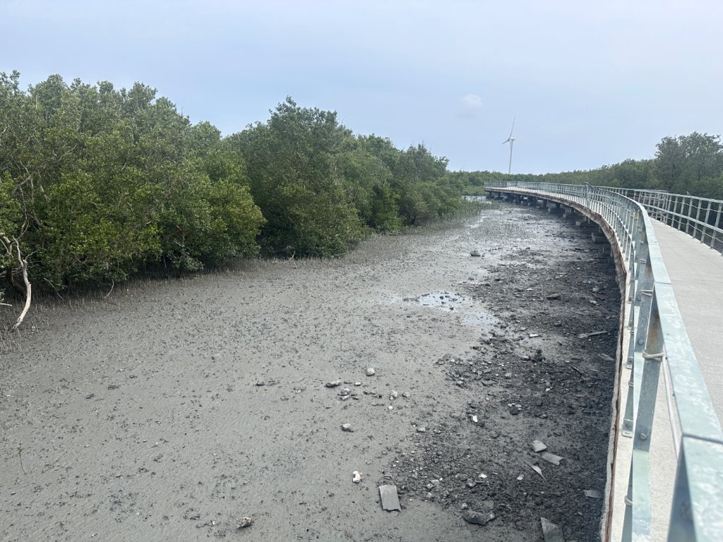芳苑濕地紅樹林海空步道_2766457