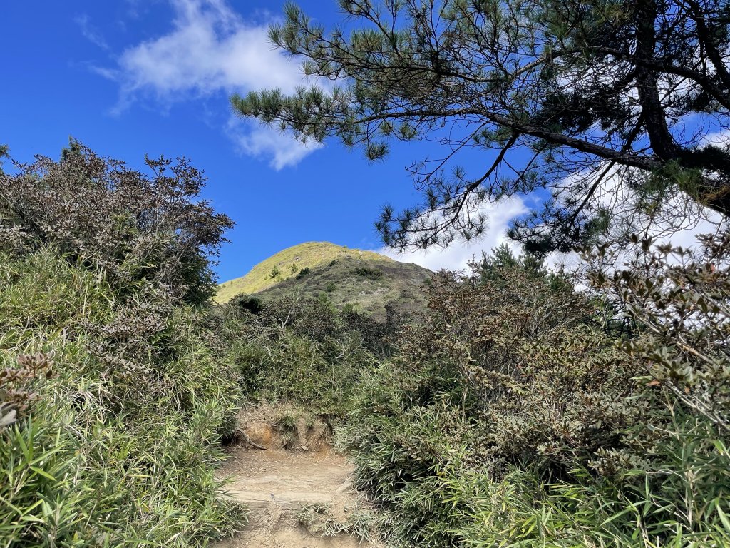 百岳十崇之合歡北峰112.11.06_2338663
