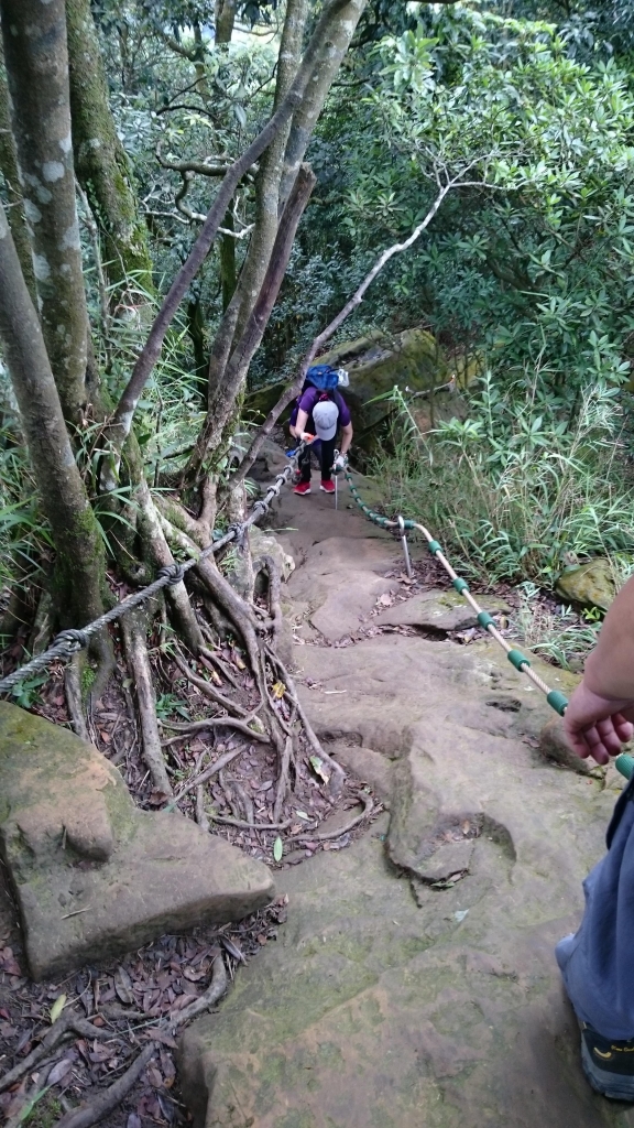 五寮尖登山步道_41057