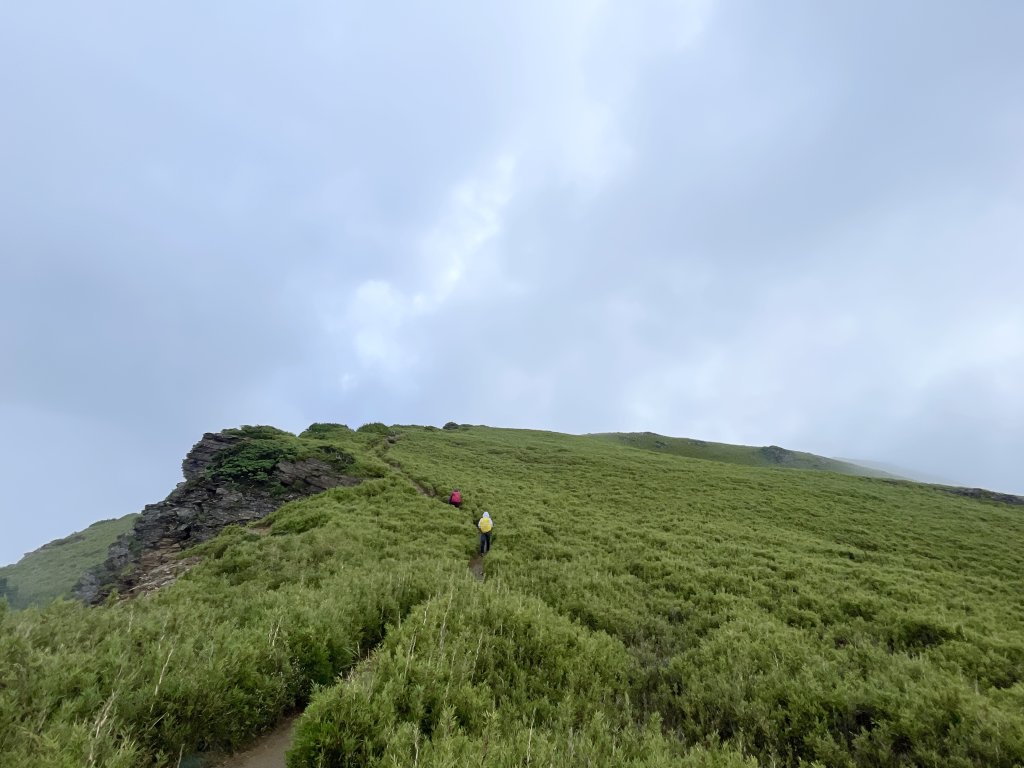 北合歡山 2024 08/31_2865781