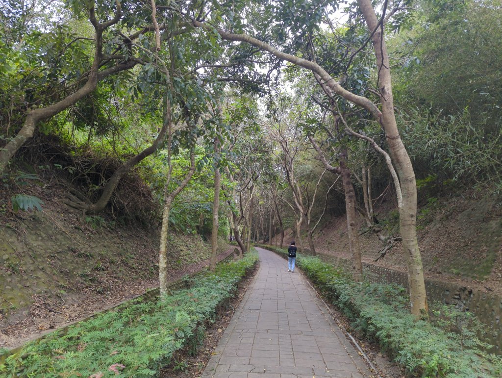 2024.11.23－功維敘隧道_2653273